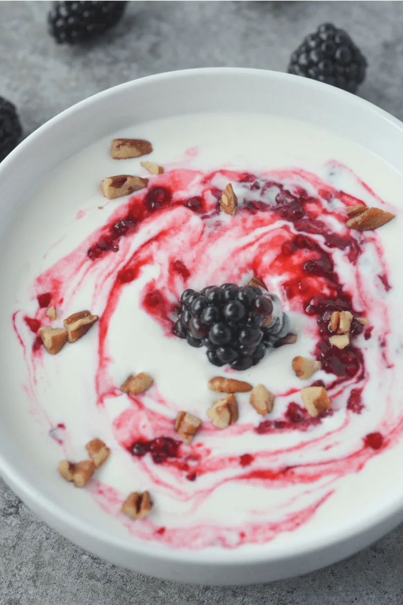 This low carb yogurt is super easy to make and actually good for you! With just 2 net carbs (for the base), it's the perfect way to brighten up your morning! | heyketomama.com