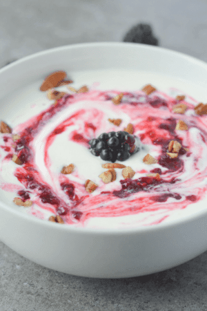 Low Carb Yogurt Keto Friendly