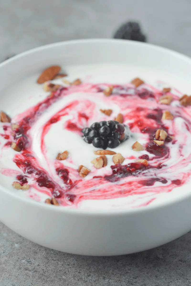 This low carb yogurt is super easy to make and actually good for you! With just 2 net carbs (for the base), it's the perfect way to brighten up your morning! | heyketomama.com