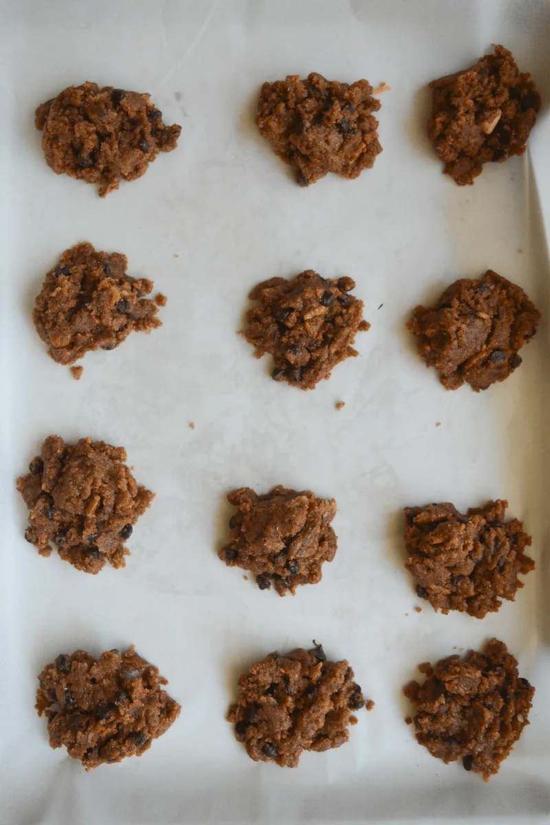 These Keto Chocolate Chip Pecan and Coconut Cookies are any low carb cookie lover's dream! They have the classic look and taste of your favorite homemade cookie, all with only 2.4g net carbs per cookie! | heyketomama.com
