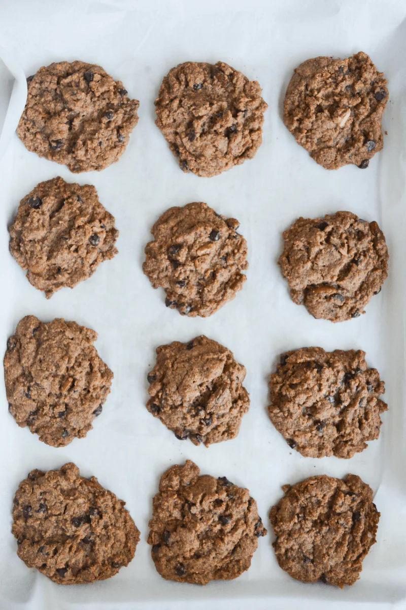 These Keto Chocolate Chip Pecan and Coconut Cookies are any low carb cookie lover's dream! They have the classic look and taste of your favorite homemade cookie, all with only 2.4g net carbs per cookie! | heyketomama.com