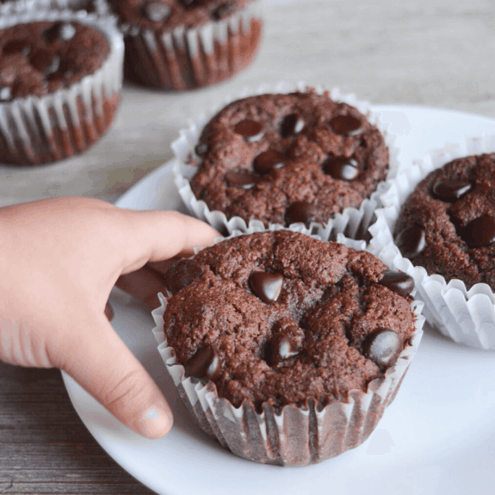 Keto on sale chocolate muffins