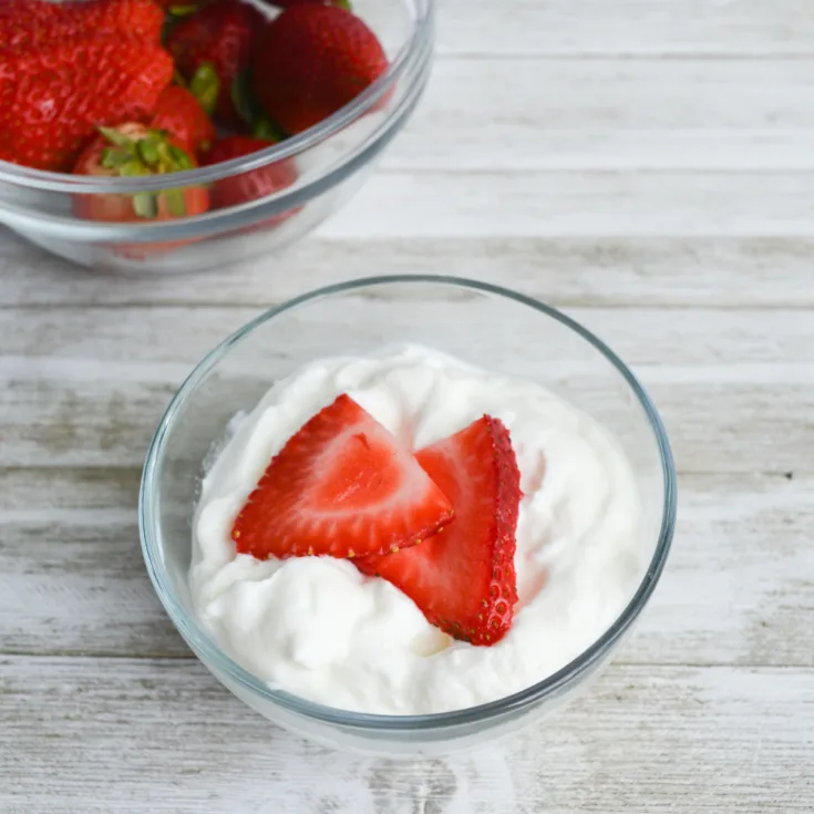 Keto Yogurt - Instant Pot Recipe