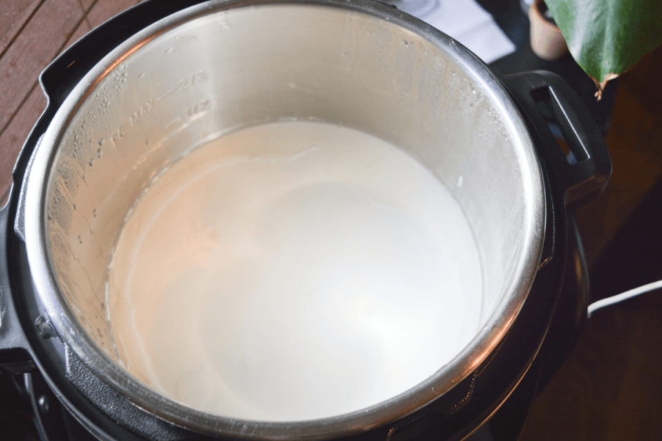 Keto Yogurt Instant Pot Recipe Hey Keto Mama