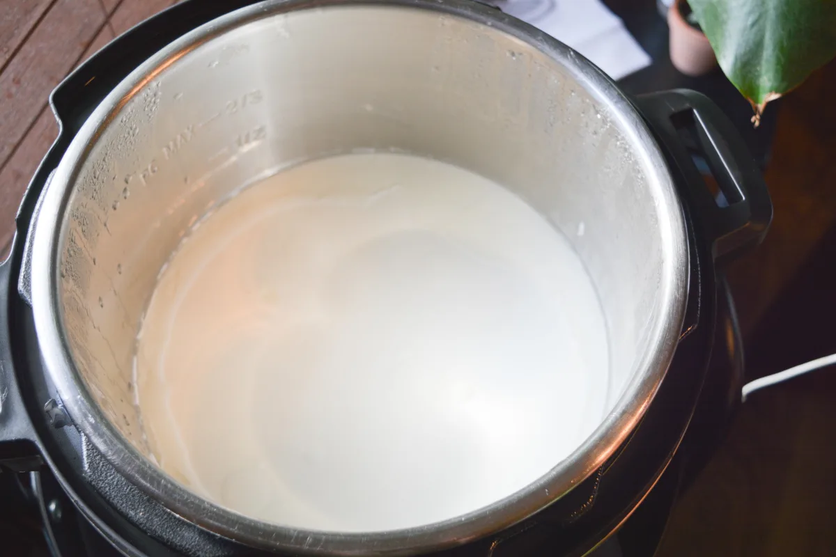 lisser le yaourt dans la marmite instantanée, fraîchement terminée