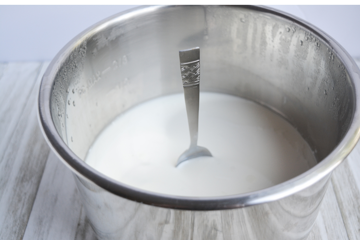 teaspoon standing up in yogurt to show thickness of fresh yogurt
